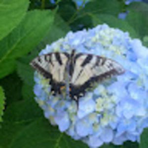 Meet your Posher, Kathleen